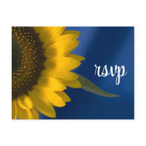 Sunflower on Blue Wedding RSVP Response Postcard