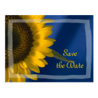 Sunflower on Blue Wedding Save the Date Postcard