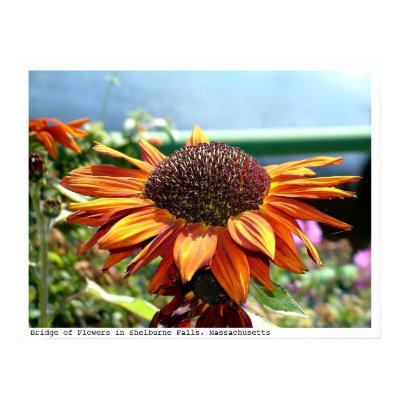 Sunflower on the Bridge of Flowers , Mass Print by Quequay