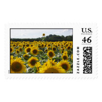 Sunflower Overachiever postage