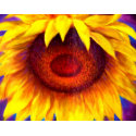 Sunflower Painting Art - Multi print