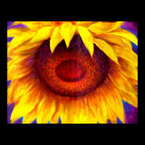 Sunflower Painting Art - Multi posters