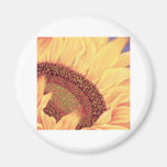 Sunflower Painting Flower Art - Multi Magnets