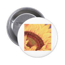 Sunflower Painting Flower Art - Multi buttons