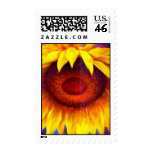 Sunflower Painting Picture Postage Stamp
