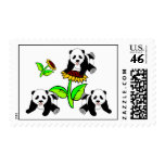 sunflower, sunflowers, sun flower, panda, pandas, panda bear, sunflower gifts, animal, animals, wild animals, animal lover, sun, flower, flowers, nature, green, go green, china, cute animals, animal baby, baby, babies, triplets
