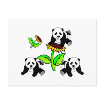 Sunflower Panda Bears Postcard