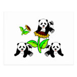 Sunflower Panda Bears Postcard