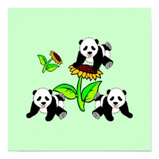 Sunflower Panda Bears print