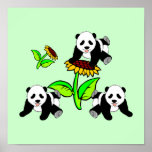 sunflower, sunflowers, sun flower, panda, pandas, panda bear, sunflower gifts, animal, animals, wild animals, animal lover, sun, flower, flowers, nature, green, go green, china, cute animals, animal baby, baby, babies, triplets