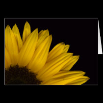 Sunflower Peeking - Customized cards