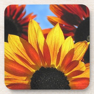 Sunflower Petals Drink Coasters