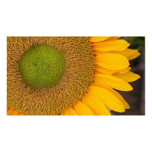 Sunflower Petals Floral Business Card (back side)