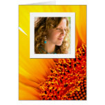 Sunflower Photo Frame Greeting Cards