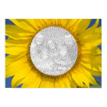 Sunflower Photo Poster Print