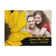 Sunflower Photo Wedding Save the Date Postcard postcard