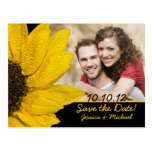Sunflower Photo Wedding Save the Date Postcard