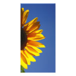 Sunflower Personalized Photo Card