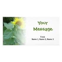 Sunflower Photo Card