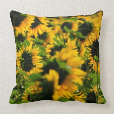 Sunflower pillow
