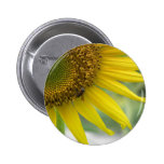 Sunflower Pins