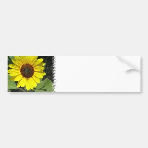 Sunflower Plant Bumper Sticker
