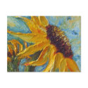 Sunflower Post Card postcards