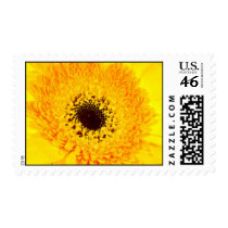 Sunflower stamps