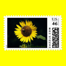 Sunflower postage