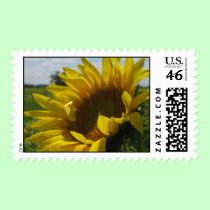 Sunflower Postage stamps