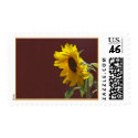 Sunflower postage