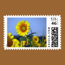 Sunflower postage