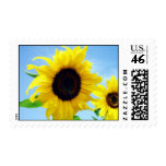 Sunflower Stamps