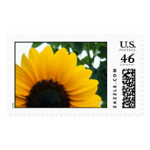 Sunflower postage by princessklb07 Sunflower postage