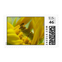 sunflower postage
