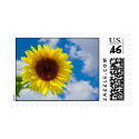 Sunflower postage
