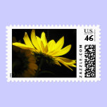 Sunflower stamps