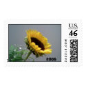 sunflower postage