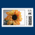 sunflower postage