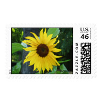 sunflower postage by gracielasrs sunflower postage