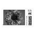 sunflower postage