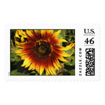Sunflower postage