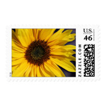 sunflower postage by visionaryplaces sunflower postage