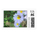 SunFlower postage