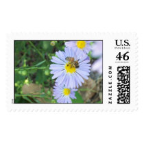 SunFlower postage by mstgr1 SunFlower postage