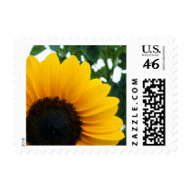 Sunflower Stamps