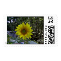 Sunflower postage