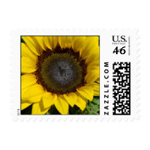 Sunflower Postage