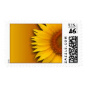 Sunflower Postage Stamp
