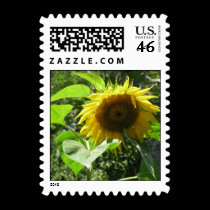 Sunflower Postage Stamp